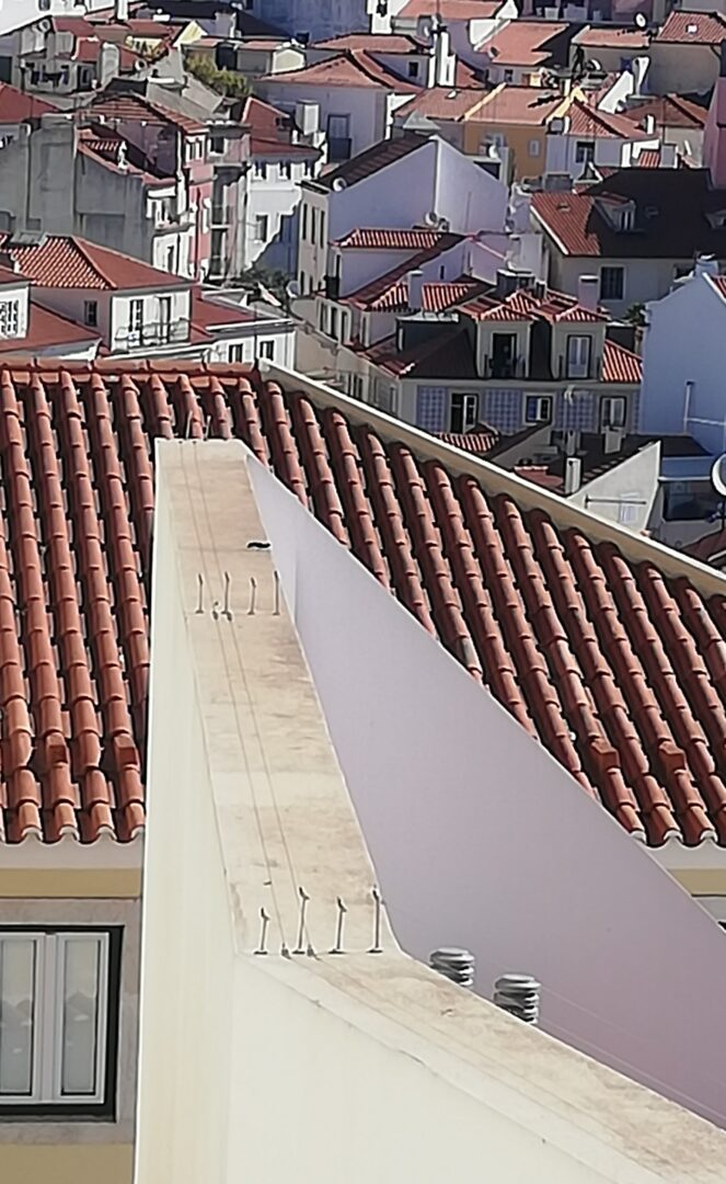 Bird wire system