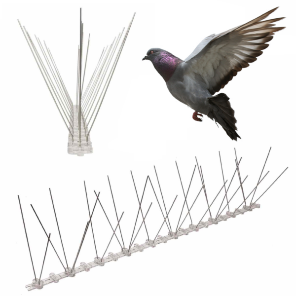 Pigeon spike strips