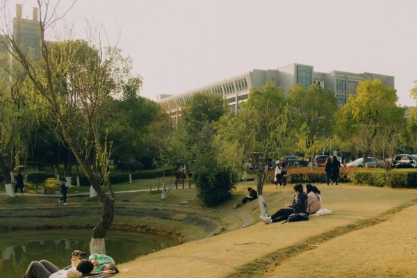 Relaxing scene with people enjoying a sunny day in an urban park near a modern building.